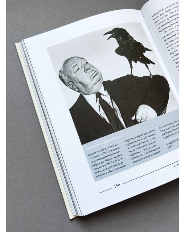 Ворон. Культурная история