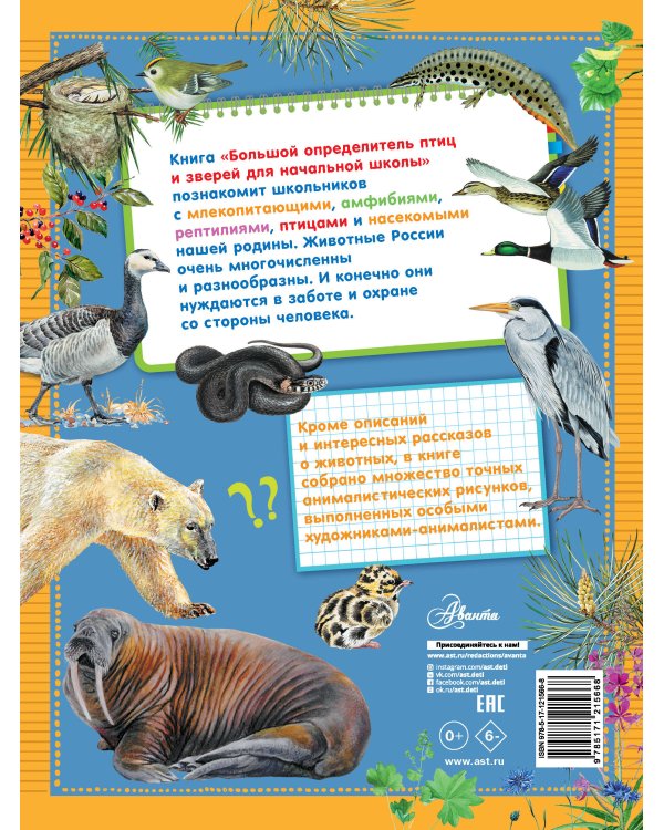 Большой определитель птиц и зверей для начальной школы