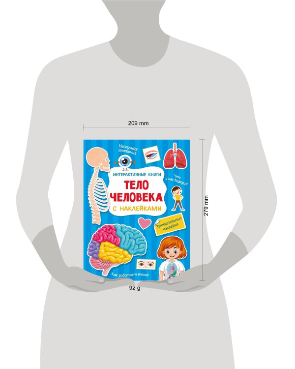 Тело человека