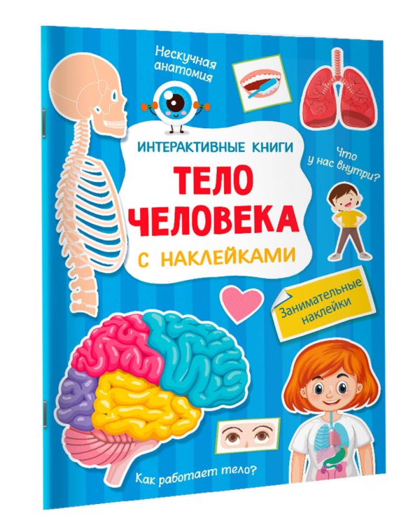 Тело человека