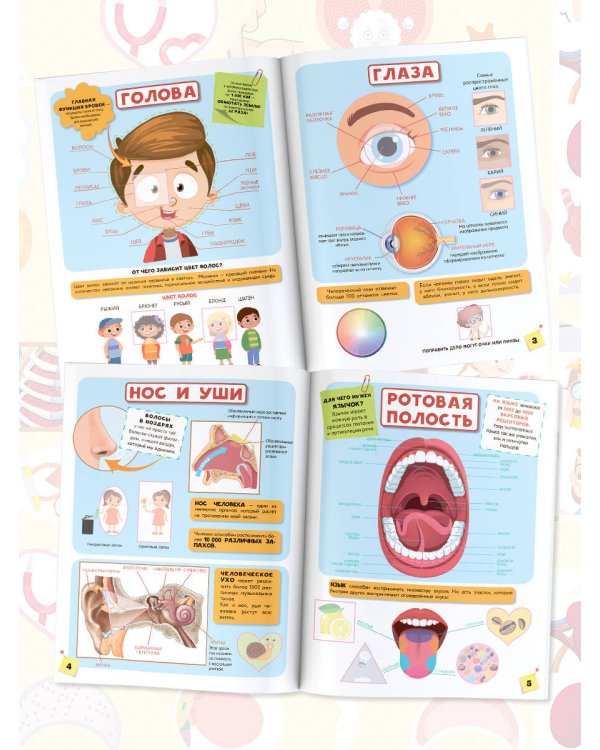 Тело человека