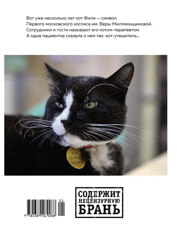 Настоящее время