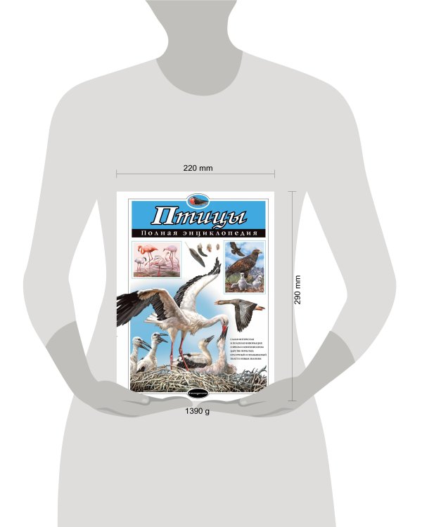 Птицы. Полная энциклопедия