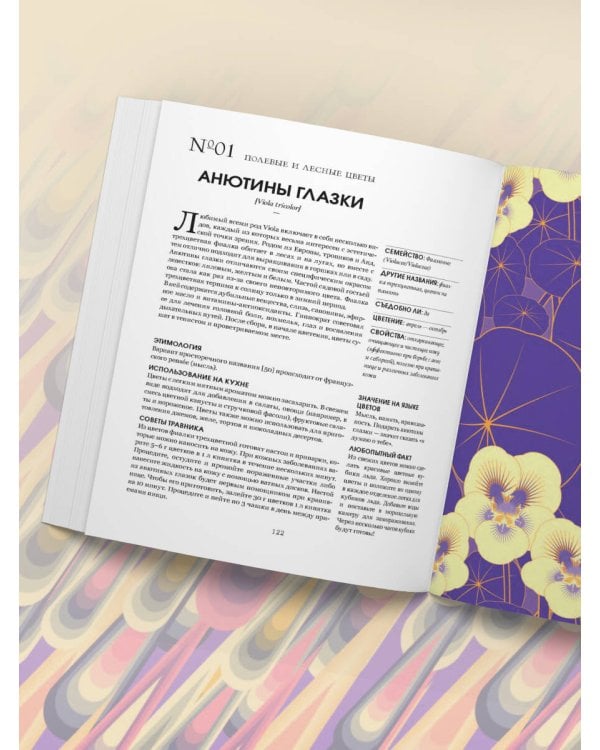 Грамматика цветов. Иллюстрированный путеводитель по цветочной вселенной символов, лечебных свойств и применения растений