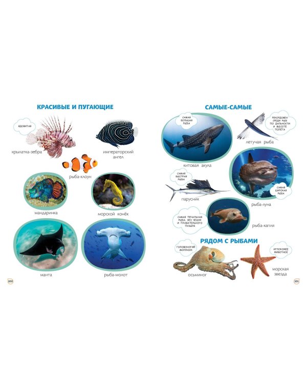 Главная книга малыша