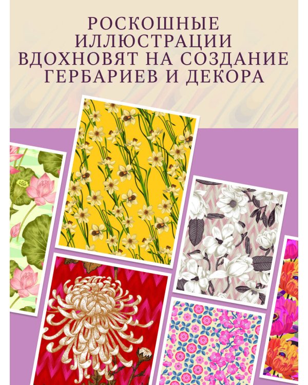 Грамматика цветов. Иллюстрированный путеводитель по цветочной вселенной символов, лечебных свойств и применения растений