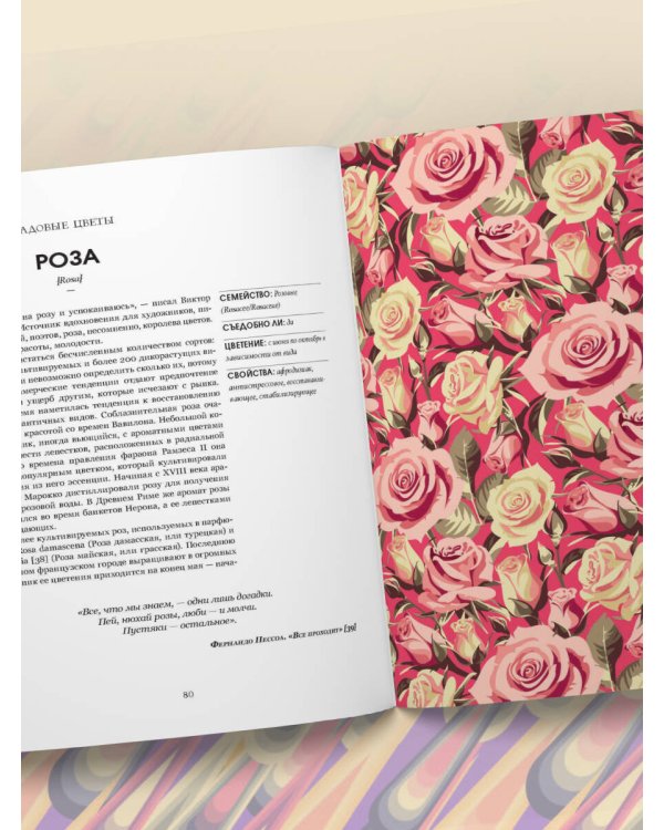 Грамматика цветов. Иллюстрированный путеводитель по цветочной вселенной символов, лечебных свойств и применения растений