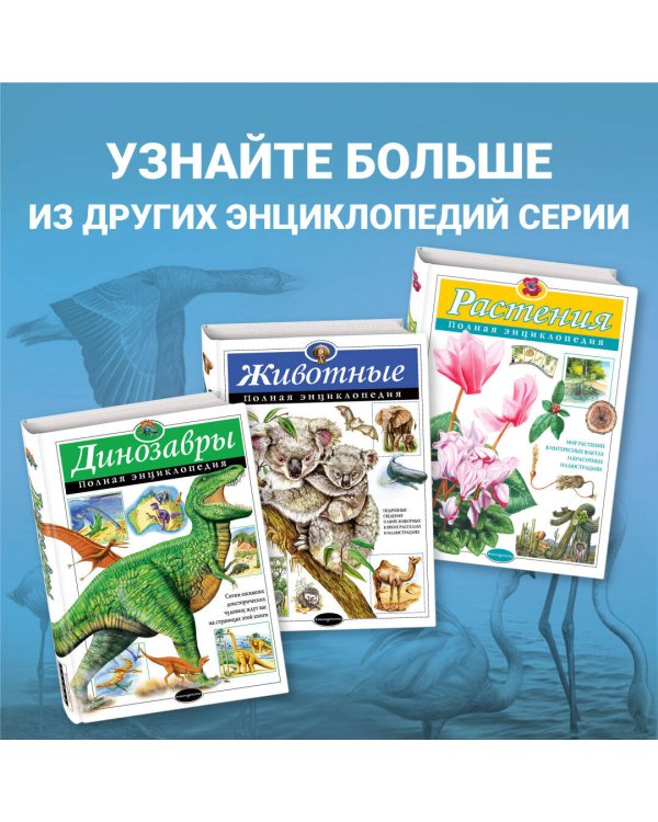 Птицы. Полная энциклопедия