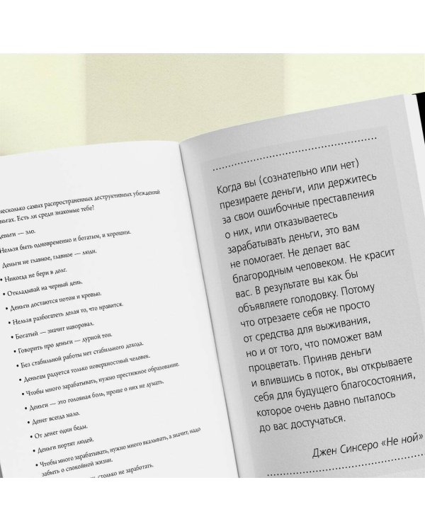 НЕ НОЙ. Дерзкий воркбук для тех, кто хочет пробить финансовый потолок