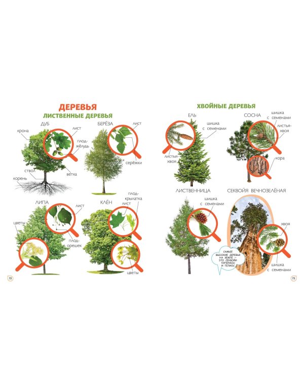 Главная книга малыша