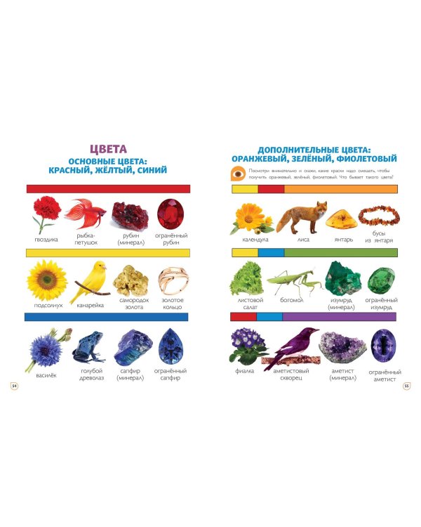 Главная книга малыша