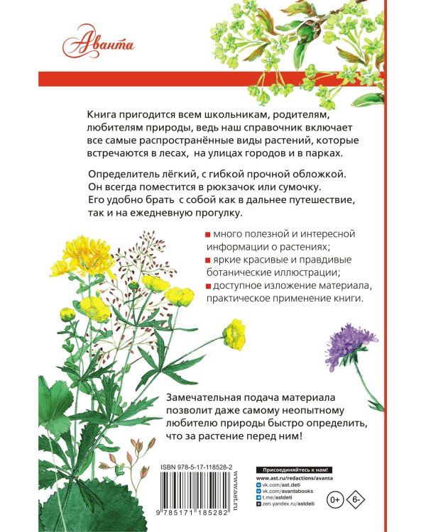 Растения России