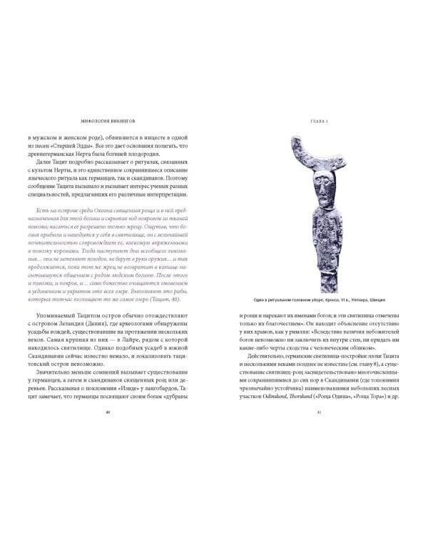 Мифология викингов. От кошек Фрейи и яблок Идунн до мировой бездны и «Сумерек богов»