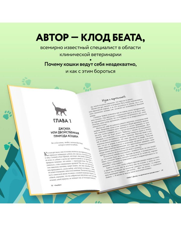 Кошки, которые сводят с ума. Почему кошки психуют и что делать с их проблемным поведением