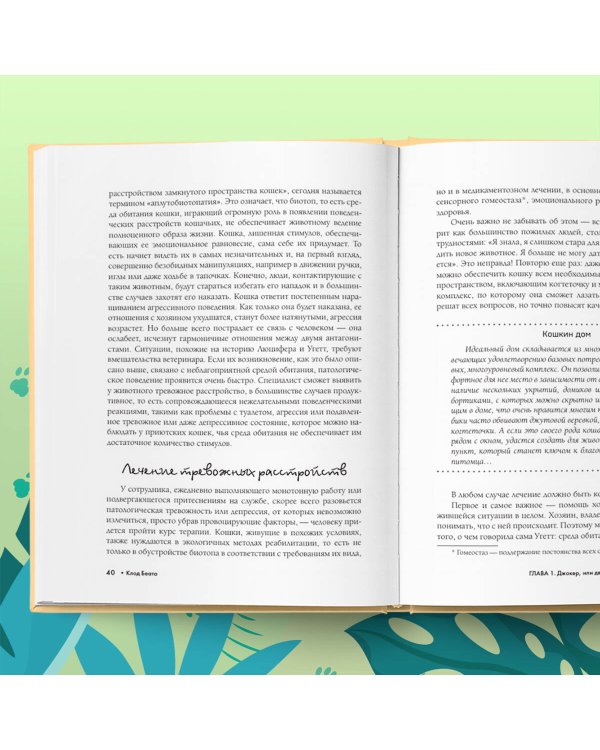 Кошки, которые сводят с ума. Почему кошки психуют и что делать с их проблемным поведением