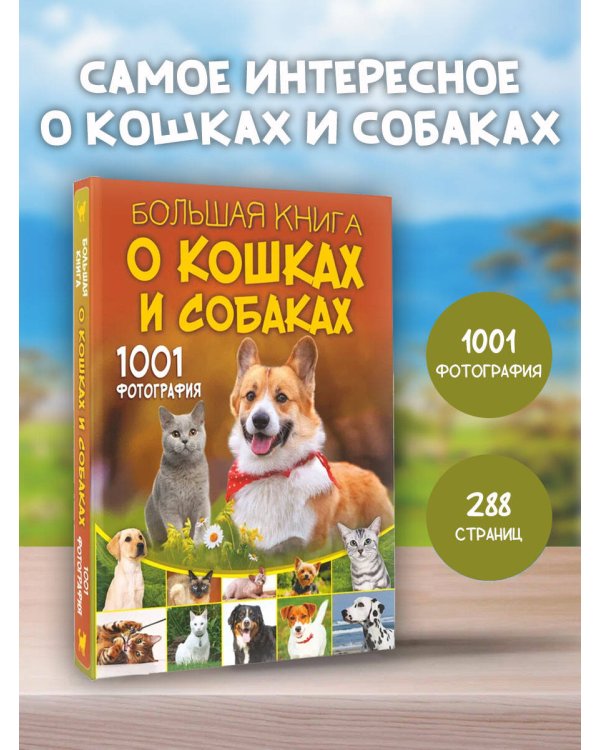 Большая книга о кошках и собаках. 1001 фотография