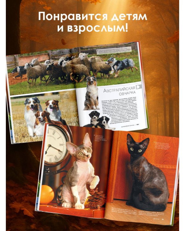 Большая книга о кошках и собаках. 1001 фотография