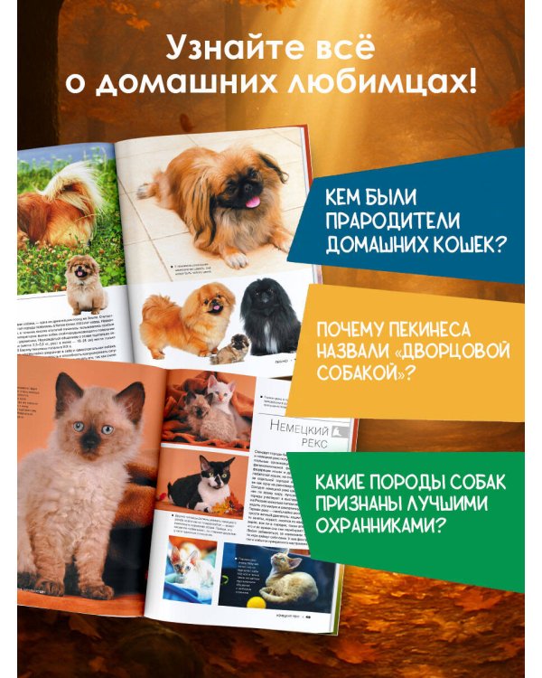 Большая книга о кошках и собаках. 1001 фотография