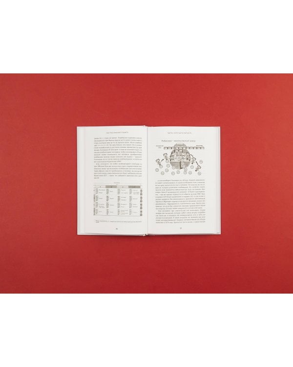 Как ГМО спасают планету и почему люди этому мешают