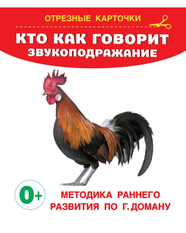 Годовой курс занятий 1+. Набор из 11 книг