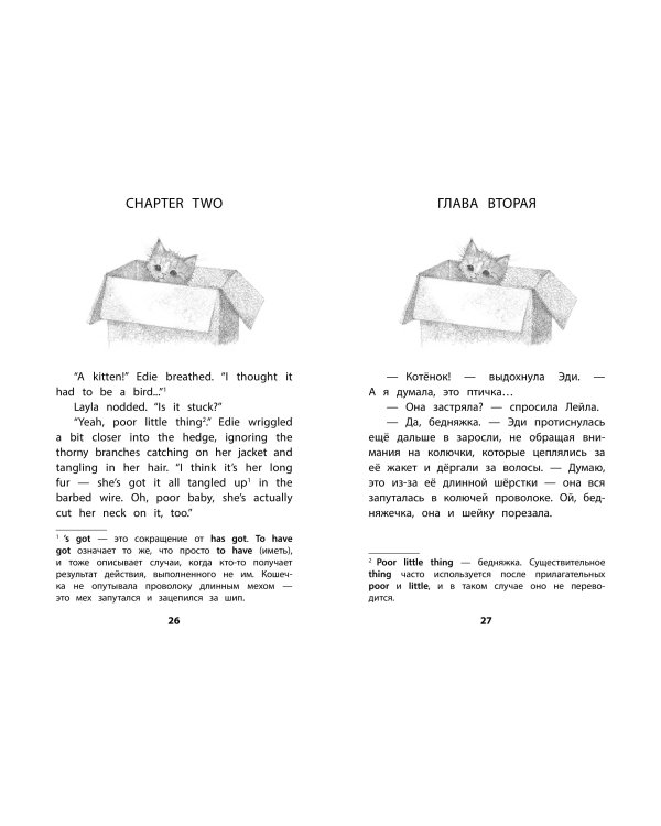 Котенок Веснушка, или Как научиться помогать = The Rescued Kitten