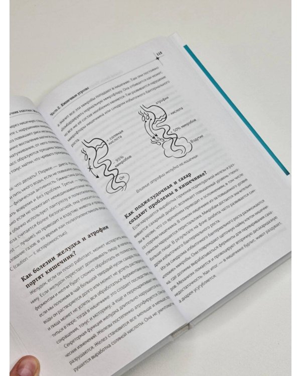 Кишечник работает. Мы отдыхаем