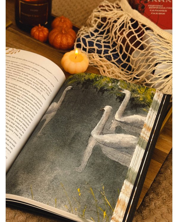 Сказки и истории (с ил.)