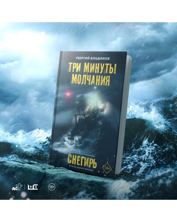 Три минуты молчания. Снегирь