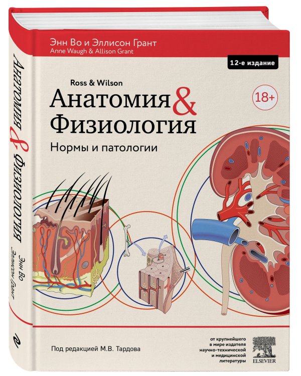 Анатомия и физиология. Нормы и патологии