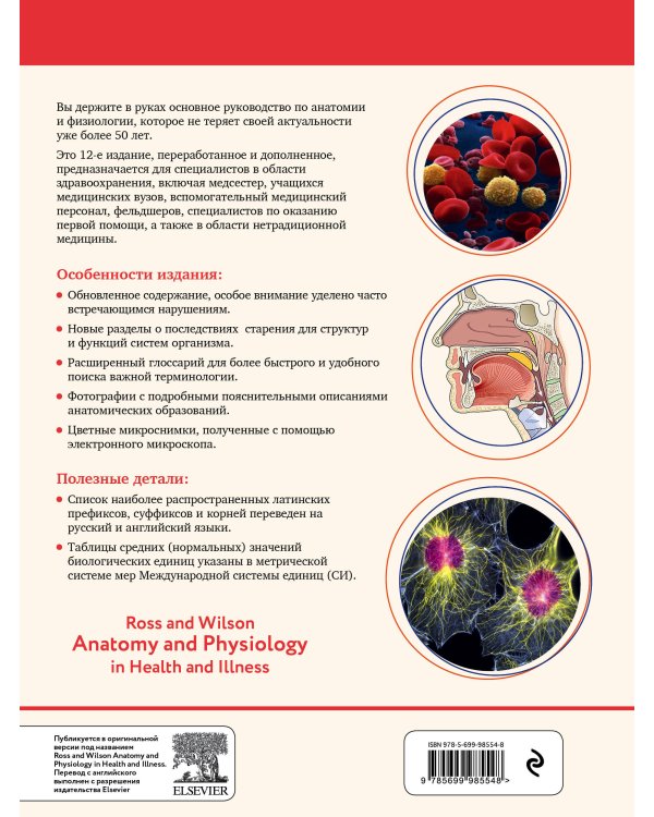 Анатомия и физиология. Нормы и патологии