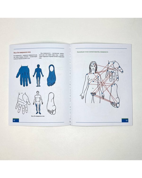 Техники и приемы восточного массажа. Иллюстрированный атлас активных точек