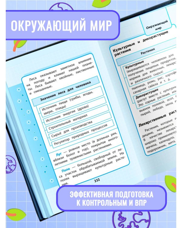 Весь курс начальной школы: в схемах и таблицах