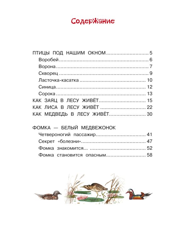 Фомка - белый медвежонок