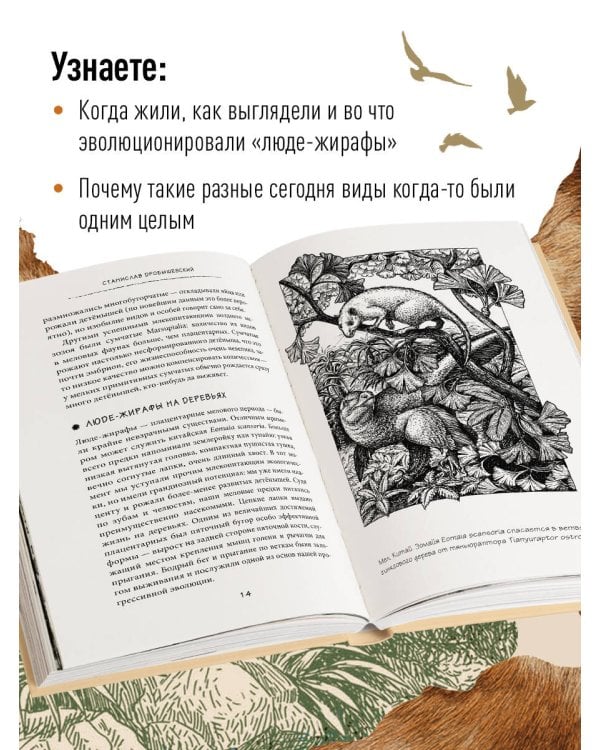 Почему жирафы не стали людьми и другие вопросы эволюции