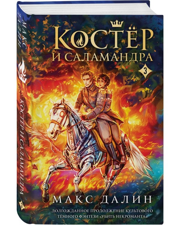 Костер и Саламандра. Книга 3