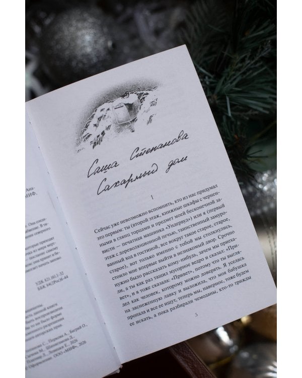 Зимняя почта