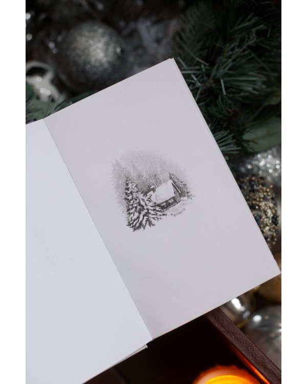 Зимняя почта