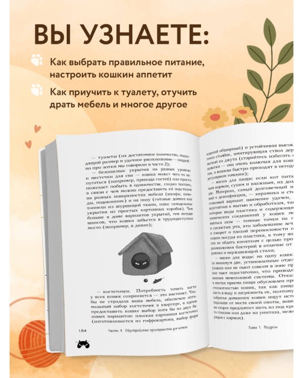 КОТоЛОГИКА. О чем молчит кошка