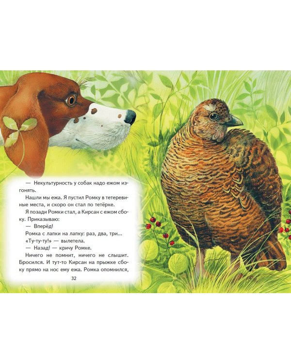 Рассказы о зверятах (ил. В. и М. Белоусовых)