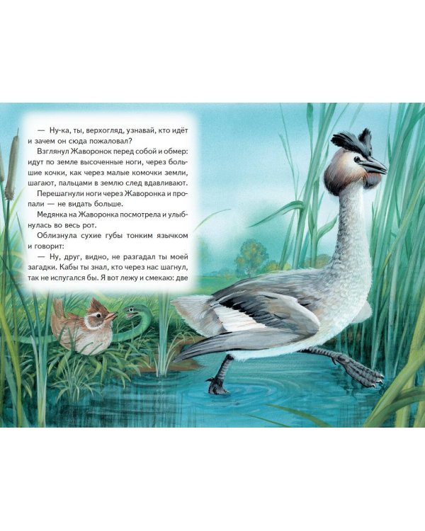 Рассказы о зверятах (ил. В. и М. Белоусовых)