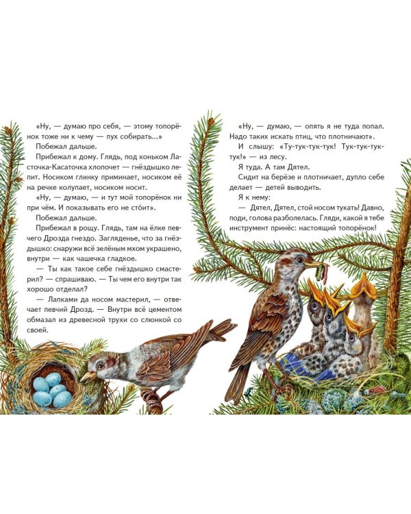 Рассказы о зверятах (ил. В. и М. Белоусовых)