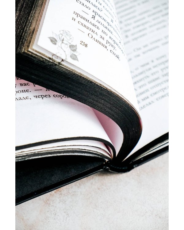 Украденный роман