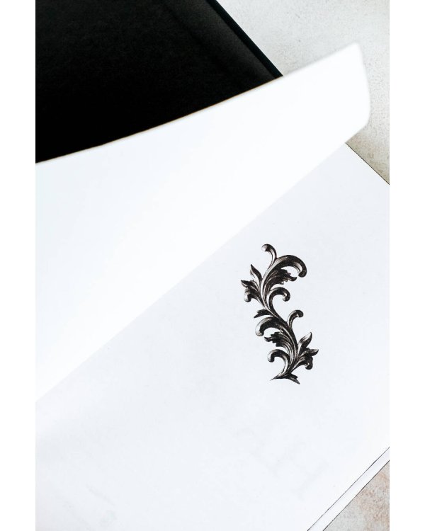 Украденный роман