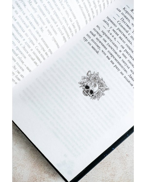 Украденный роман