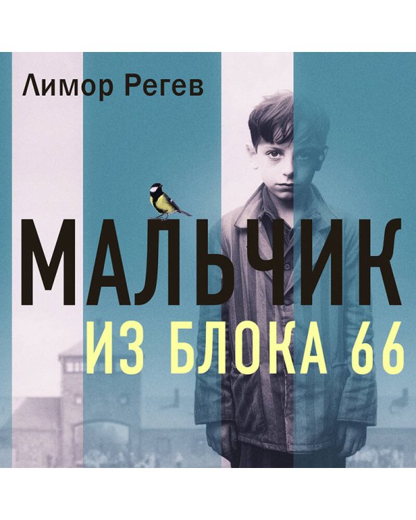 Мальчик из Блока 66. Реальная история ребенка, пережившего Аушвиц и Бухенвальд
