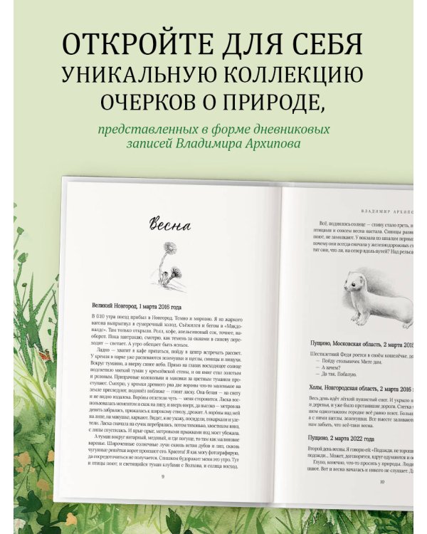 Жужжание жука. Полевые и не очень дневники орнитолога