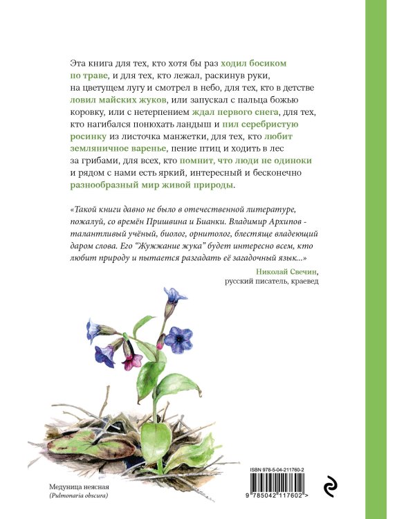 Жужжание жука. Полевые и не очень дневники орнитолога