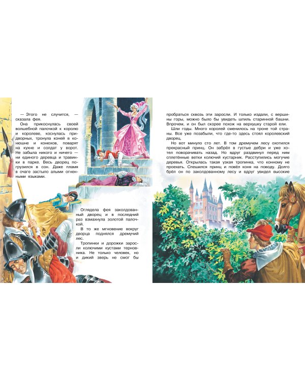 Сказки о принцах и принцессах