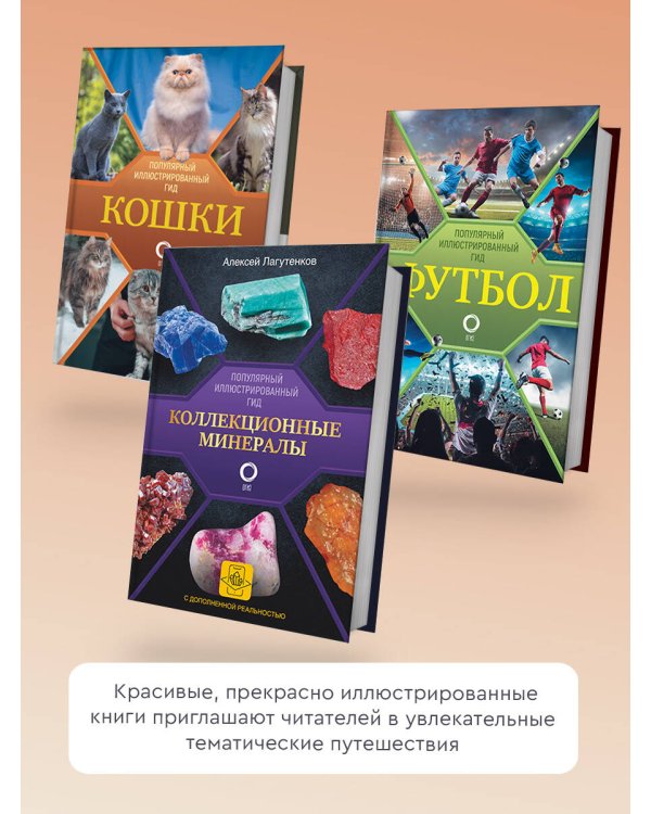 Шедевры живописи Возрождения. Иллюстрированный гид