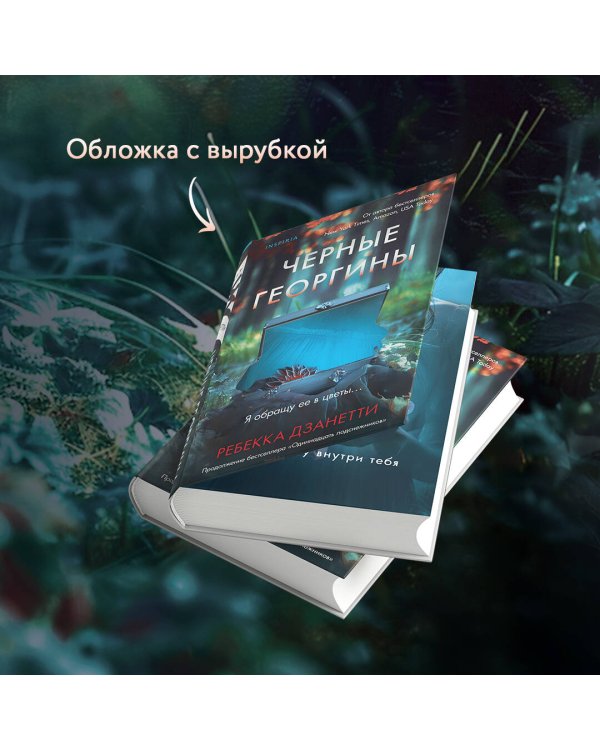 Черные георгины